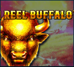 1 Reel Buffalo Slot